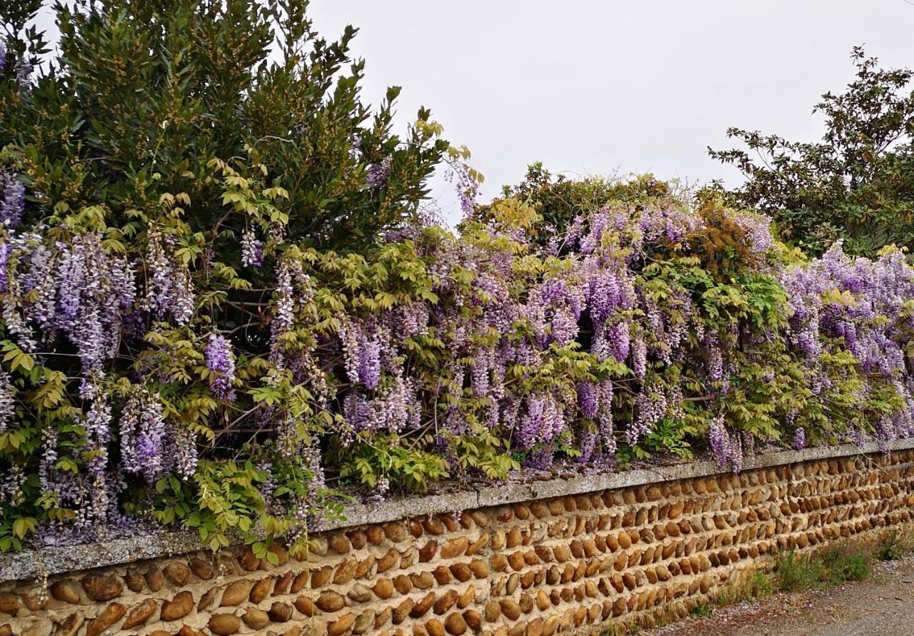 Comme A La Maison Clonas-sur-Vareze Exterior photo